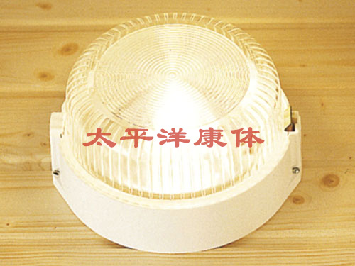 TYLO桑拿配件-照明灯