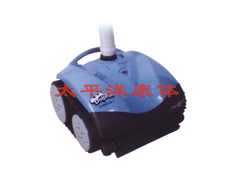 RIS动力型