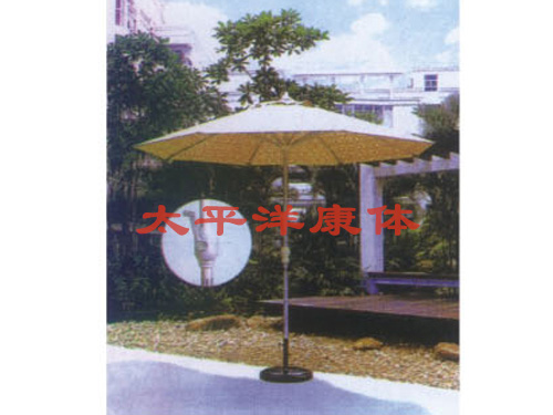 TBY-0121铝合金中柱摇把太阳伞（可定做）